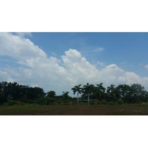 Polo View, Leisure Farm, Iskandar Puteri, Johor