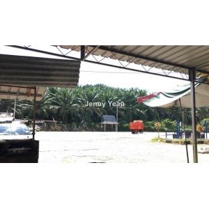 Oil Palm Agricultural land Tawar, Kedah, Baling